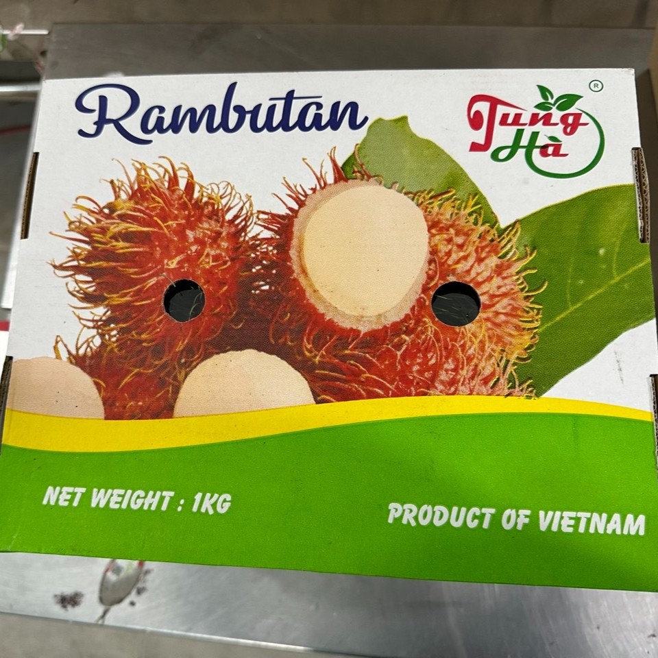Vietnamese Fresh Rambutan