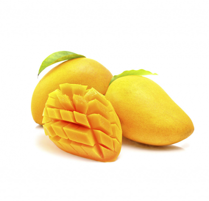 Xoài cát chu Hòa Lộc